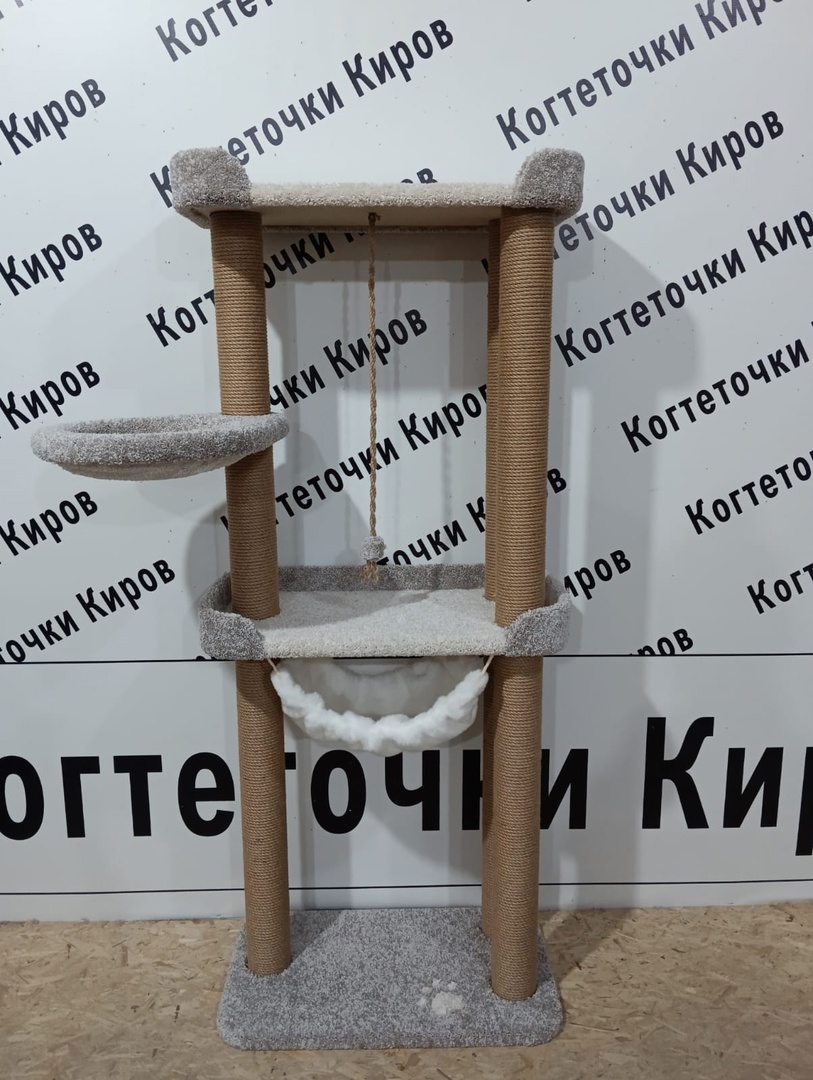 Киров (16)